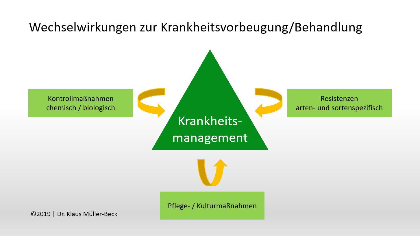 vorbeugung pilzkrankheiten diagramm wechselwirkungen krankheitsvorbeugung