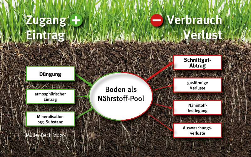 duengeplaene strapazierrasen naehrstoff pool