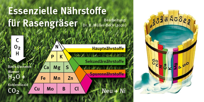 versorgungsstufen essenzielle naehrstoffe