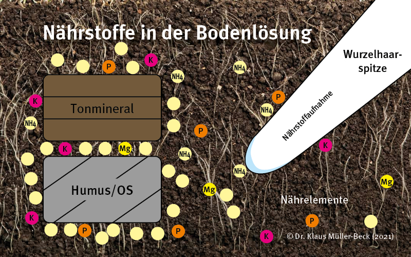 versorgungsstufen naehrstoffe bodenloesung