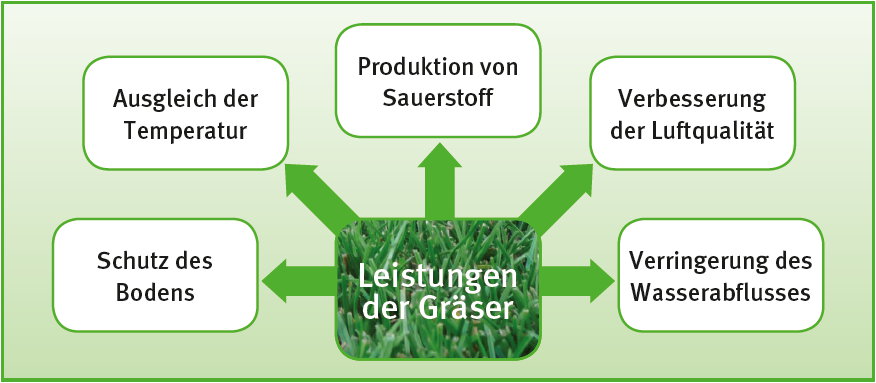 chlorophyll graeserleistung