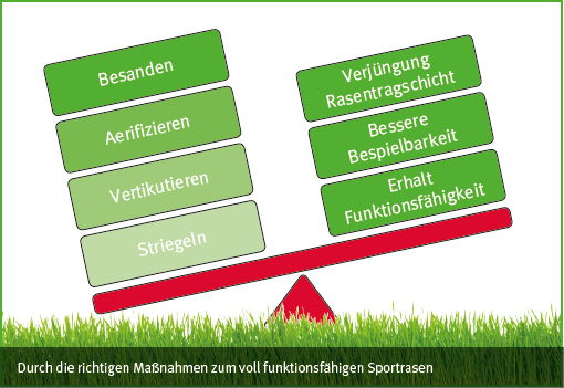 alterung rasentragschicht diagramm