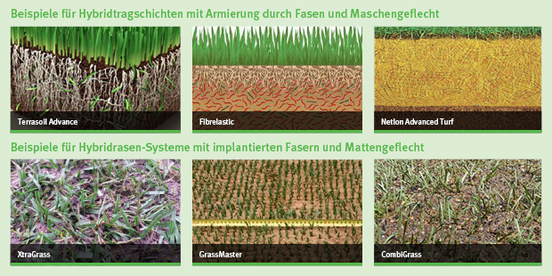 hybridrasen 002 systeme vergleich aufbau