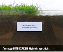 hybridrasen 004 prototyp intergreen hybridtragschicht