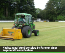 regeneration durch nachsaat 005 nachsaat sportplatz