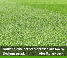 bundesliga rasenqualitaet 001 Narbendichte