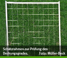 bundesliga rasenqualitaet 002 schaetzrahmen