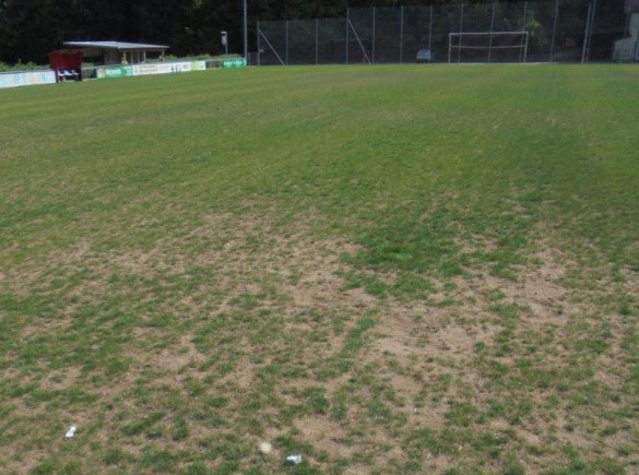wassermanagement 01 trockenschaeden sportrasen