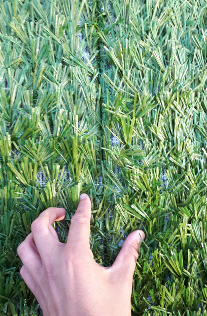 olympiastuetzpunkt frankfurt oder 03 xtragrass detail